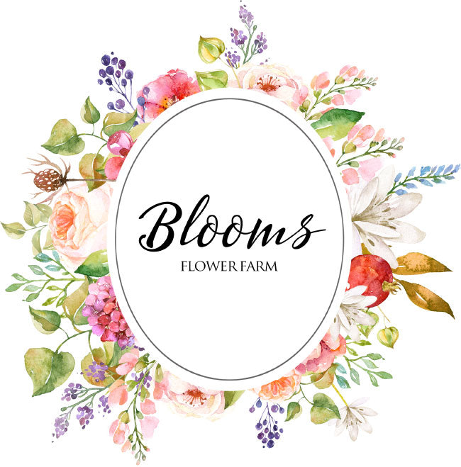 Contact Us – Blooms Flower Farm